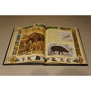 Настольная книга охотника — книга для мужчины — необычный подарок — фотография 4