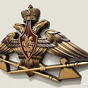 Резной герб МТО ВС РФ из бука в подарок — фотография 3