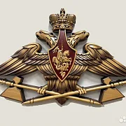 Резной герб МТО ВС РФ из бука в подарок — фотография 1