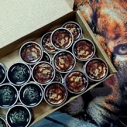 Комплект стальных фишек для нард «Лофт» — красивый подарок — фотография 6