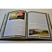 Русская охота. Исторический очерк — книга для мужчины — необычный подарок — фотография 6